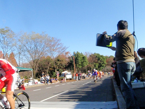 pipu22009.jpg