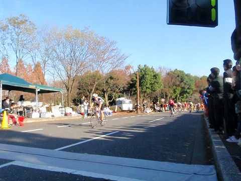 pipu22250.jpg